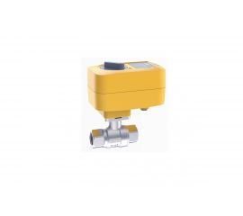 Шаровый кран с электроприводом Neptun Profi 12 В, 1 1/4 063278 