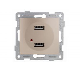 Механизм розетки GUSI ELECTRIC Bravo USB, двойной, СУ, шампань С10USB2-027 