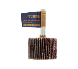 Круг лепестковый радиальный (30х20х6 мм; Р60) TUNDRA 5162349 