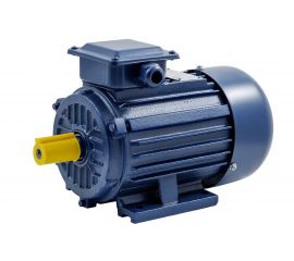 Электродвигатель ТМ БЭЗ АИP 90L2 IM1081 3 кВт/3000 об/мин 93922 