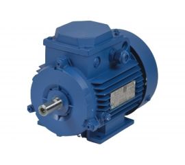 Электродвигатель МЭЗ У2-220/380-50IM1081-Р.К.В. К31Е-ААА IE1 Могилев АИР100L2 5,5*3000 1081 