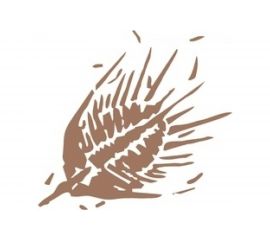 Виниловый трафарет STMDECOR ЖУК HWC-T2-08 