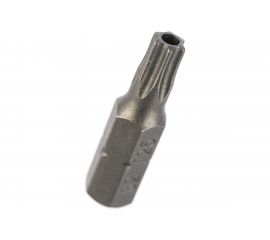 Бита Torx Tamper ТТ25, 25 мм, 2 шт. REDVERG 6623498 