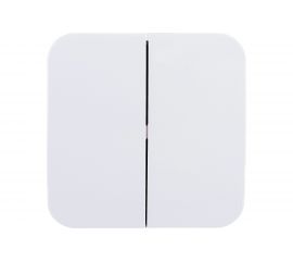 2-клавишный выключатель Schneider Electric BLANCA, открытой установки, 6А, 250B, белый BLNVA065011 