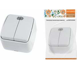 2-клавишный выключатель TDM открытой установки с подсветкой IP20 10А, белый Дача Народная SQ1824-0004 