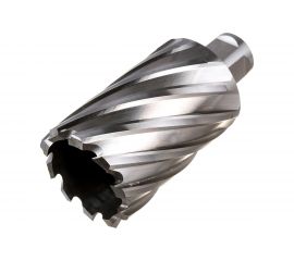 Фреза кольцевая HSS (40x55 мм; Weldon 19) ROTORICA RT.4215040 