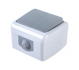 Выключатель EKF Мурманск 2-клавишный 10А IP54 серый 1250147 