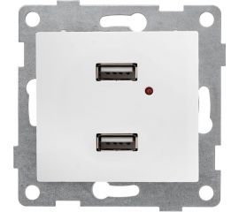 Механизм розетки GUSI ELECTRIC двойной, СУ, жемчуг С10USB2-028 