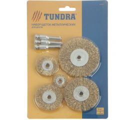 Набор плоских щеток металлических (5 шт; 25, 38, 50, 63, 75 мм; шпильки 3 шт) для дрели TUNDRA 1722232 