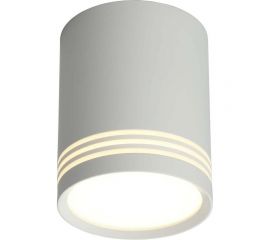 Потолочный светодиодный светильник Omnilux OML-100109-12 