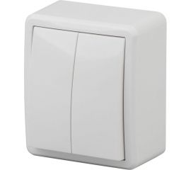 Двойной выключатель ЭРА 11-1204-01 10АХ-250В, IP20, ОУ, Эксперт, белый Б0020663 