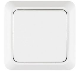 1 клавишный выключатель TANGO белый открытой проводки 10А, 250В 3/ 10/ 200 1007251 