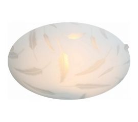 Настенно-потолочный декоративный светильник Apeyron, 1хЕ27, 60Вт, 220В, основание белое, плафон стекло, лампы нет 16-179 