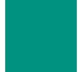 Универсальный колер Palizh PREMIUM (фасад; 0,1 л; №2021 новая мята) 11607372 