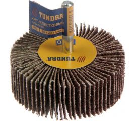 Круг лепестковый радиальный (60х20х6 мм; Р80) TUNDRA 1875464 