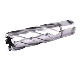 Фреза кольцевая №13 (20х55/88 мм; WELDON19; HSS M2) Профоснастка 40101013 