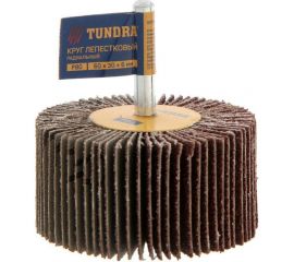 Круг лепестковый радиальный (60х30х6 мм; Р80) TUNDRA 1875467 