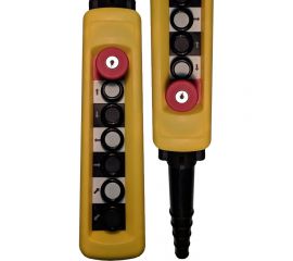 Пульт Briswik ПКТ-60Б-CК 6 кнопок 1НО гриб с фиксацией и ключом 1НЗ XACA6713.SК.BR 