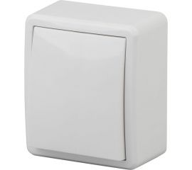 Выключатель ЭРА 11-1201-01, 10АХ-250В, IP20, ОУ, Эксперт, белый Б0020653 