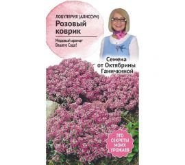Семена ОКТЯБРИНА ГАНИЧКИНА Лобулярия (алиссум) Розовый коврик 0.1 г 119034 