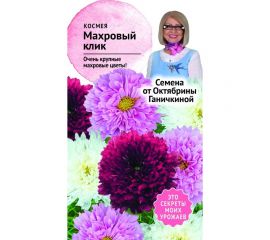 Семена ОКТЯБРИНА ГАНИЧКИНА Космея Махровый клик 0.1 г 119250 