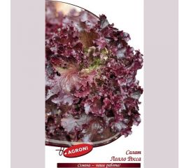 Семена Агрони Салат ЛОЛЛО РОССА 1802 