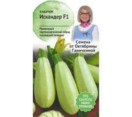 Семена ОКТЯБРИНА ГАНИЧКИНА Кабачок Искандер F1 5 шт. 120146 