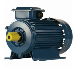 Электродвигатель 5АИ 90 L2 3/3000 IM 1081 01.01.213461 