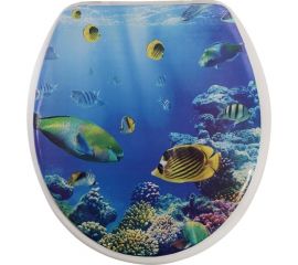 Сиденье для унитаза Аквалиния Рифы SK-06161 