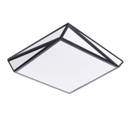 Потолочные светильники Arte Lamp A1929PL-1BK 