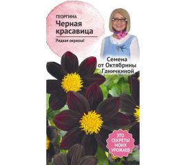 Семена ОКТЯБРИНА ГАНИЧКИНА Георгина Черная красавица 5 шт. 119666 