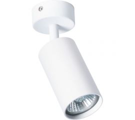Потолочный светильник Arte Lamp AQUARIUS A3216PL-1WH 