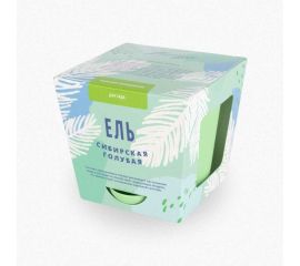 Набор для выращивания растений Тысяча Листьев Ель сибирская голубая tl-002 