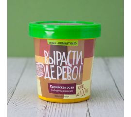 Набор для выращивания растений Вырасти,Дерево! Сирийская роза zk-126 