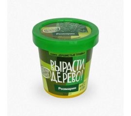Набор для выращивания растений Вырасти,Дерево! Розмарин zk-036 