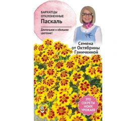 Семена ОКТЯБРИНА ГАНИЧКИНА Бархатцы Паскаль 0.15 г 118850 