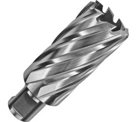 Сверло корончатое HSS по металлу (21х55/88 мм; Weldon 19) D.BOR CD-HSS-055-021-W 