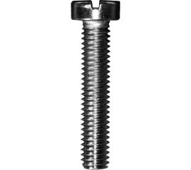 Винт с цилиндрической головкой Невский Крепеж DIN 84, нерж. сталь M4x60 6 шт. 826969 