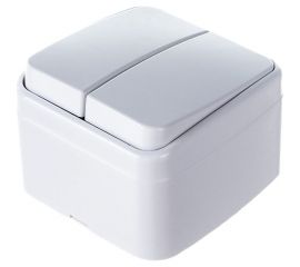 2-клавишный выключатель TDM открытой установки IP20 10А, белый Дача Народная SQ1824-0002 