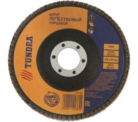 Круг лепестковый торцевой (125х22 мм; Р80) TUNDRA 1124385 