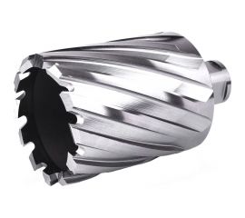 Фреза кольцевая №44 (50х55/88 мм; WELDON19; HSS M2) Профоснастка 40101044 