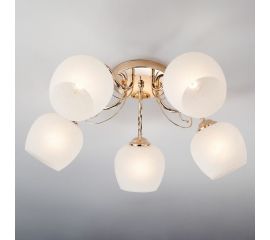 Потолочный светильник Eurosvet 30138 5 золото 00000084465 