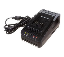 Зарядное устройство Professional WA3924 20В, 2Aч WORX WA3924 