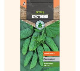 Семена Тимирязевский питомник огурец Кустовой 0.3 г 4607189275685 