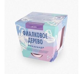 Набор для выращивания растений Тысяча листьев Фиалковое дерево Жакаранда tl-003 