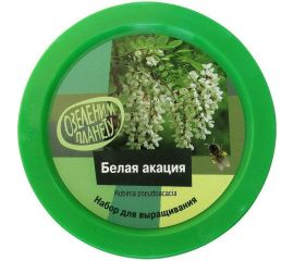 Набор для выращивания растений Вырасти,Дерево! Белая акация zk-076 