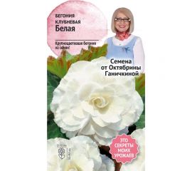 Семена ОКТЯБРИНА ГАНИЧКИНА Бегония клубневая Белая 6 шт. 118852 