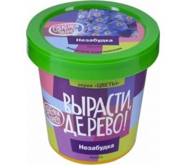 Набор для выращивания растений Вырасти,Дерево! Анютины глазки zk-124 