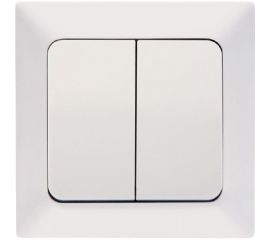2-клавишный выключатель NE-AD 10А, 250В, Aras, Белый, 93-110-03 