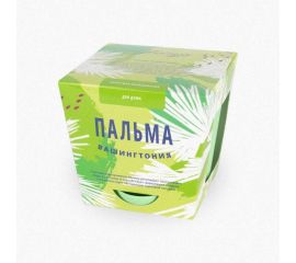 Набор для выращивания растений Тысяча листьев Пальма Вашингтония tl-013 